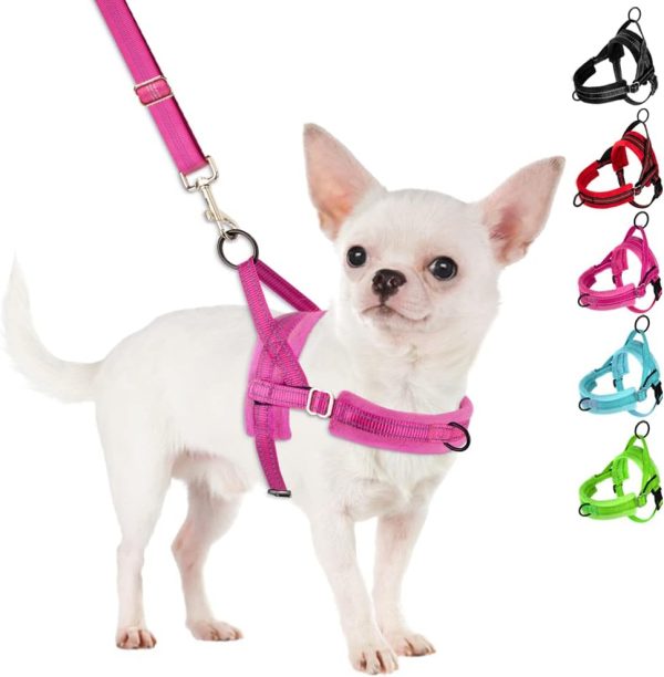 No Pull Small Dog Harness and Leash Set, Puppy Soft Vest Harness Neck & Chest Adjustable, Reflective Lightweight Harness & Anti-Twist Pet Lead Combo for Small Medium Dogs (Fuchsia, XS)