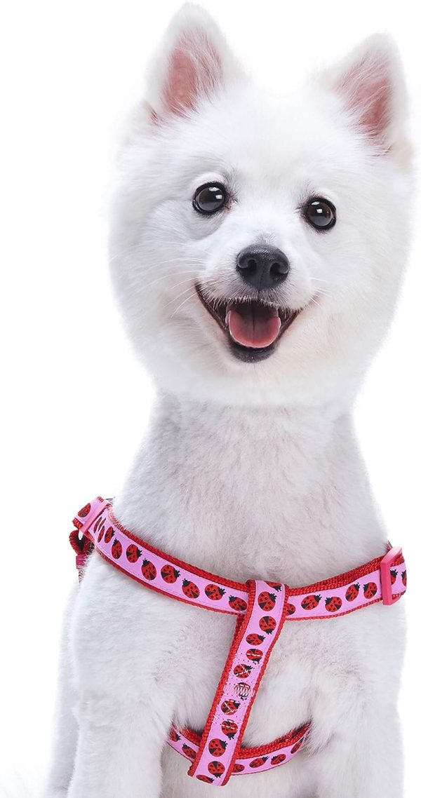 2 Patterns Step-in Ladybug Designer Dog Harness, Chest Girth 16.5" - 21.5", Small, Adjustable Harnesses for Dogs